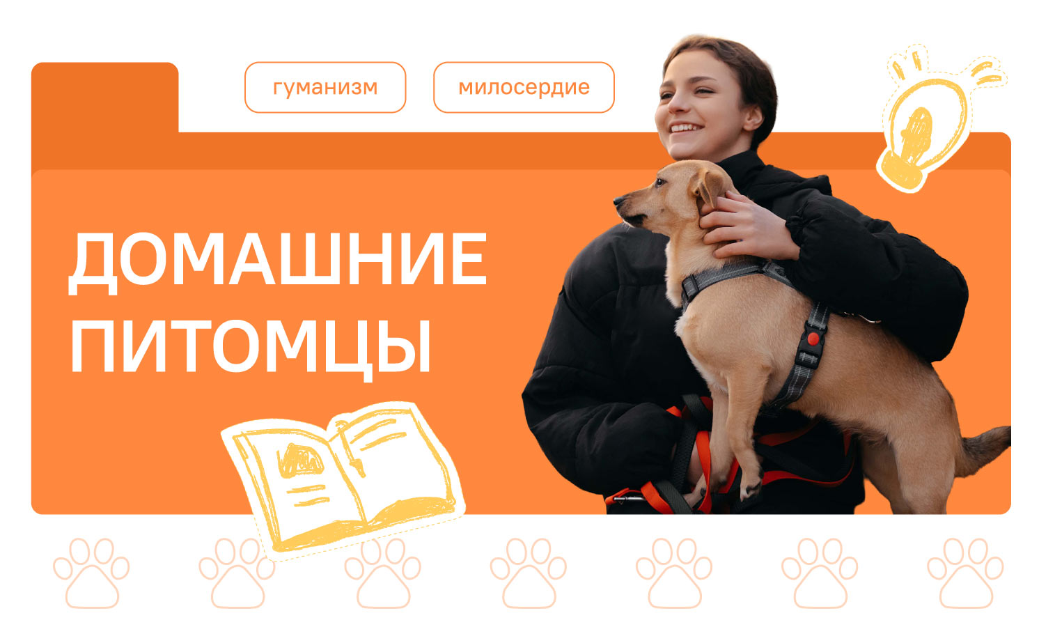 Домашние питомцы.